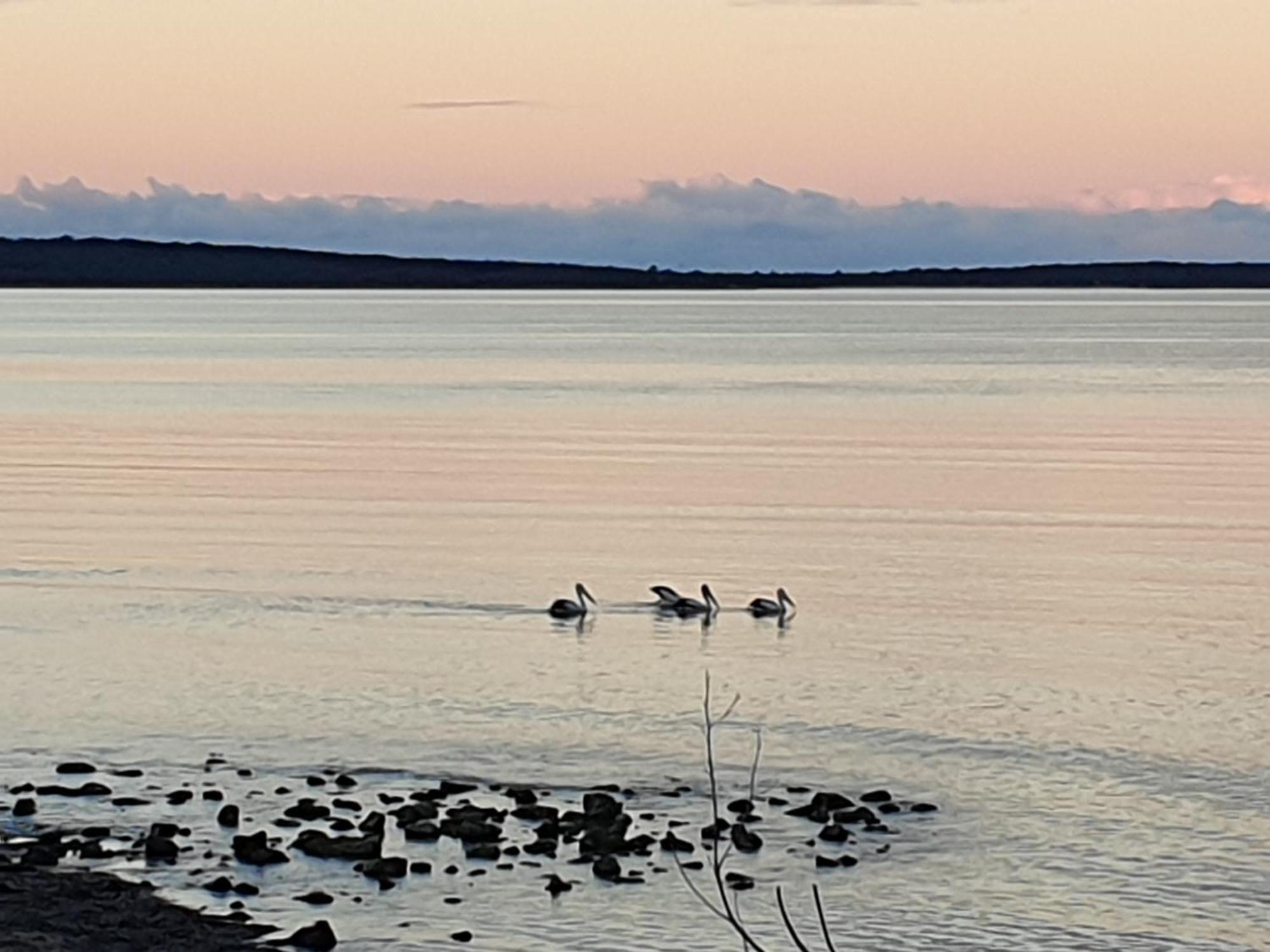 Port Lincoln Caravan Park North Shields Экстерьер фото