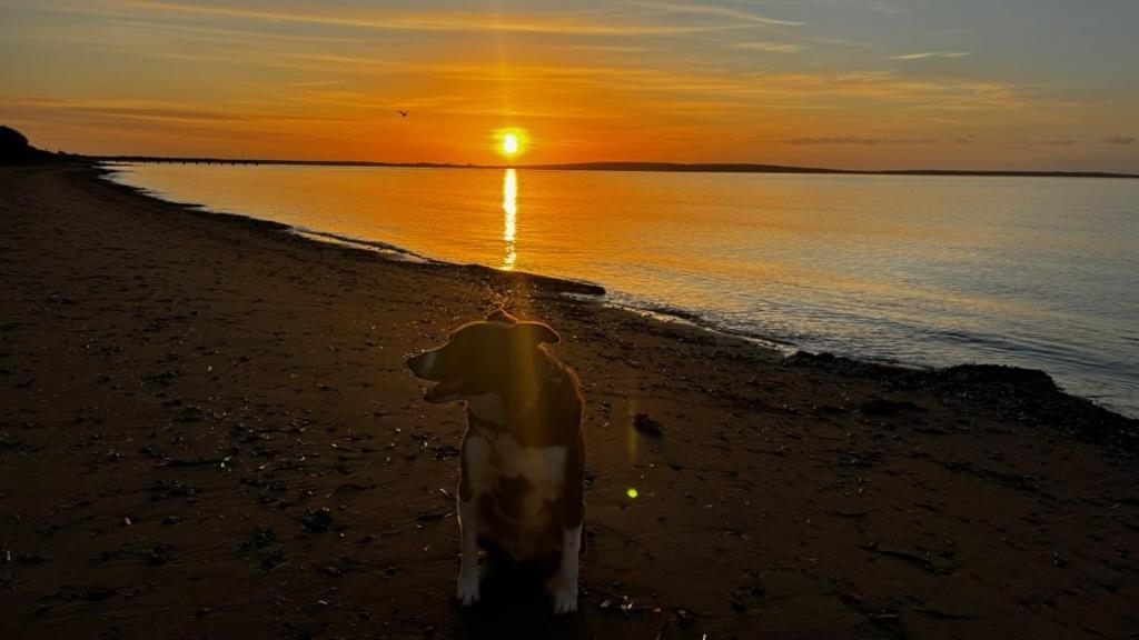 Port Lincoln Caravan Park North Shields Экстерьер фото